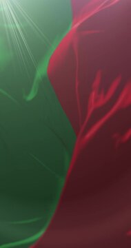 Bolivar Province Flag, Ecuador. Loop. 4K Vertical