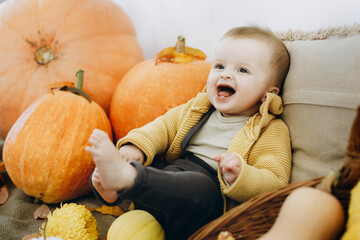 Cute happy baby boy holding little pumpkin and sitting at pumpkins, autumn leaves and flowers....