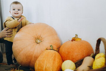 Cute happy baby boy standing at pumpkins, autumn leaves and flowers. Fall harvest. Happy...