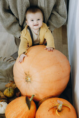 Cute happy baby boy standing at pumpkins, autumn leaves and flowers. Fall harvest. Happy...