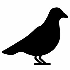 Silhouette of a pigeon standing on a white background