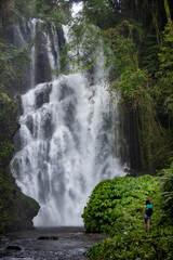 Waterfall hidden in the tropical jungle. Bali. Tropical Nature background