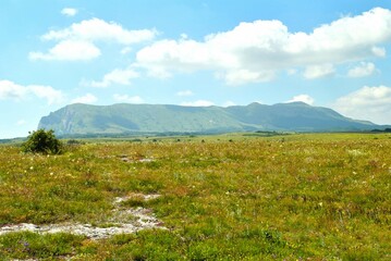 Beautiful mountain landscape featuring verdant hills and a clear blue sky. Crimea, Ukraine