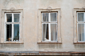 Vintage Building Facade with Pets in Windows and Rustic Architecture
