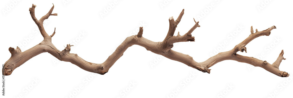 Poster natural twisted wood branch with unique texture and shape for decorative use, isolated on transparen