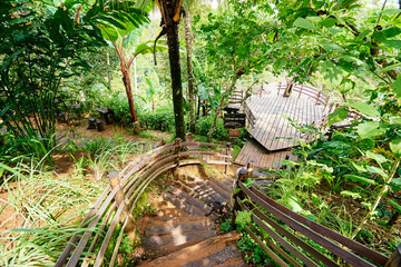 Wooden Pathway Through Tropical Forest Leading to Scenic Views and Garden Spaces