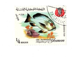A vintage fish postage stamp from Yemen isolated on a white background.