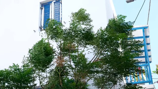 famous windmills of Mykonos island over seascape, Mykonos island, Greece. High quality 4k footage