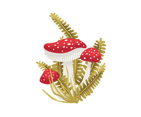 Fly agaric mushrooms with ferns and forest plants. Stylized toxic fungi in a nature-themed hand-drawn composition.