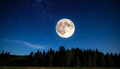 Full moon over a dark forest at night
