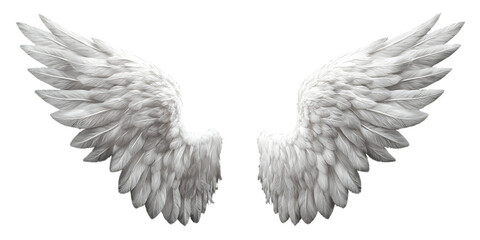 Fototapeta premium Two white angel wings isolated on a transparent background, top view.