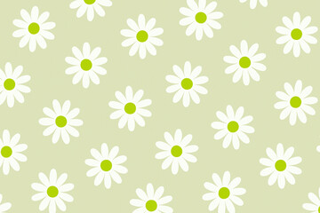 Obraz premium White Daisy Pattern on Soft Olive Green Background