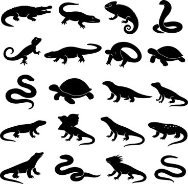 Collection of silhouettes of various reptiles including alligators snakes lizards turtles and chameleons in a grid layout