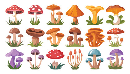 A vibrant vector illustration set of diverse mushrooms, showcasing colorful fungi from forest to grass, isolated with autumn leaves