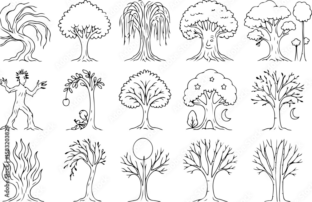 Poster collection of diverse hand drawn black and white line art illustrations of various trees including a