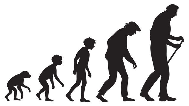 Silhouette illustration showing the evolution of a human from ape to old age with a walking stick