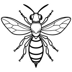 Obraz premium Detailed line art illustration of a wasp with curled legs and open wings isolated on white background