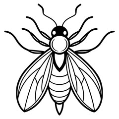 Detailed line art illustration of a firefly with a glowing abdomen isolated on white background