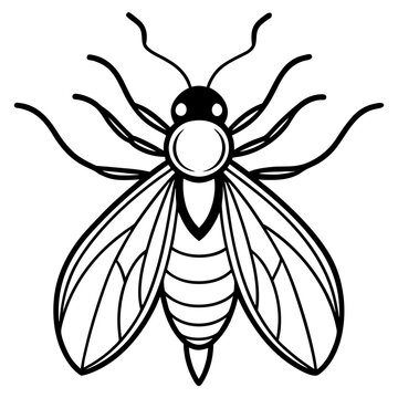 black and white bee drawing clip art preview
