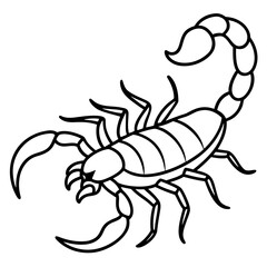 Fototapeta premium Detailed line art illustration of a scorpion with its tail raised and claws extended isolated on white background