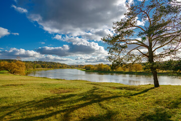 Calm river flowing through grassy field with large tree, autumn forest background and natural light
