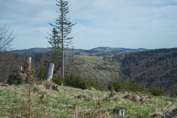 Zlatohorska vrchovina mountains in Czech republic with forest mostly devastated by timber harvesting