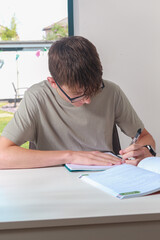 Teenage boy doing home work