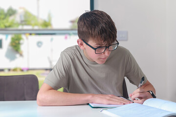 Teenage boy doing home work