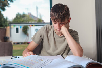 Teenage boy doing home work