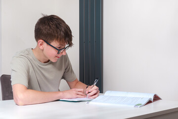 Teenage boy doing home work