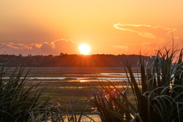 Stunning sunset over a tranquil marshland with silhouettes of tall grass in the foreground