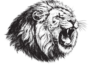 Engraved African lion roaring loudly with sharp teeth and bold mane in fierce pose