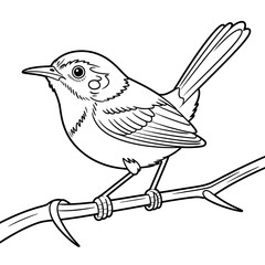 Obraz premium Illustration vector of a tailorbird coloring page