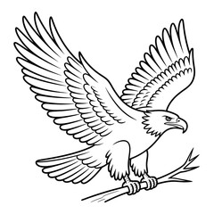 Obraz premium Eagle line drawing coloring page