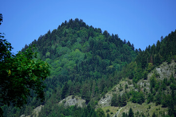 Lush green mountain covered with dense coniferous and deciduous trees under a clear blue sky. Rocky outcrops and varying vegetation create a rich natural landscape showcasing diverse forest ecology.

