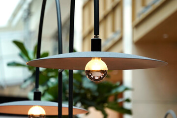 Modern black metal floor lamps with round, flat shades illuminate an indoor space filled with lush...