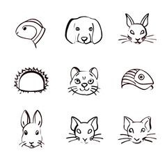 Hand Drawn Pet Faces Collection rabbit hedgehog