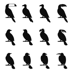 Obraz premium Twelve black bird silhouettes perched avian