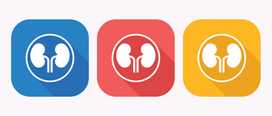 Three kidney icons in different colored squares with shadows