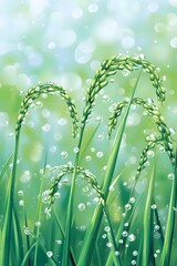 Dewdrops swaying in the morning light from rice paddies