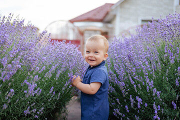 A cheerful baby with blonde hair and blue eyes smiles brightly while standing among rows of vibrant...