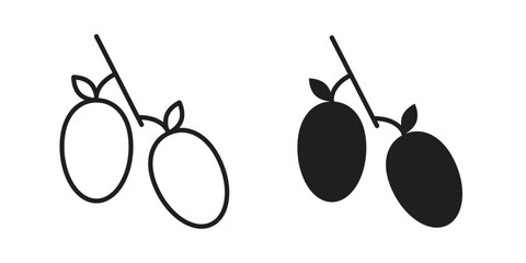 Jujube icon in flat and liner trendy style for app ui designs