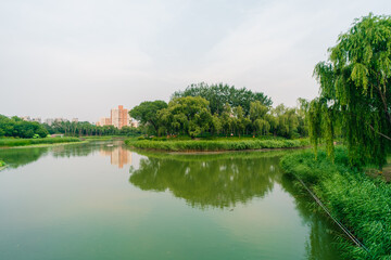 Beijing, China - 3 june 2025 Chao Yang Gong Yuan in summer