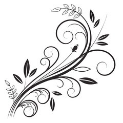 Flourish ornate header. Decorative calligraphic vintage divider