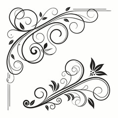 Flourish ornate header. Decorative calligraphic vintage divider