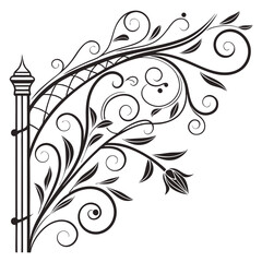 Flourish ornate header. Decorative calligraphic vintage divider