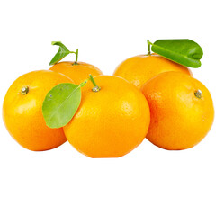 Organic Orange Fruit 