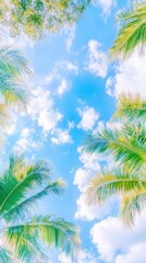 Palm trees and blue sky: Serene view looking up at the tropical palm trees, clouds dancing in the blue sky. the picture give feeling of relaxation and vacation, a sunny day, tropical summer.