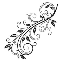 Flourish ornate header. Decorative calligraphic vintage divider