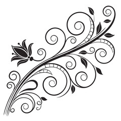 Flourish ornate header. Decorative calligraphic vintage divider